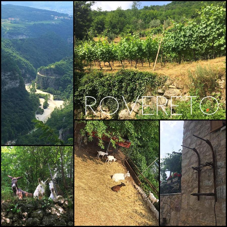 Agritur Masi Brenta Bed & Breakfast Rovereto  Bagian luar foto
